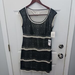 Black Lace Dress with Cream Accents